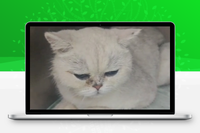 离了个大谱！我家猫🐱白白挨了一刀
