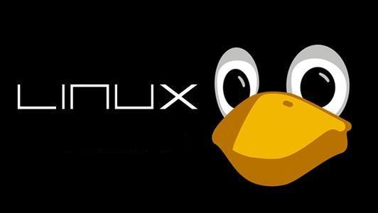 Linux 基础知识完全指南：从零开始理解 Linux 系统